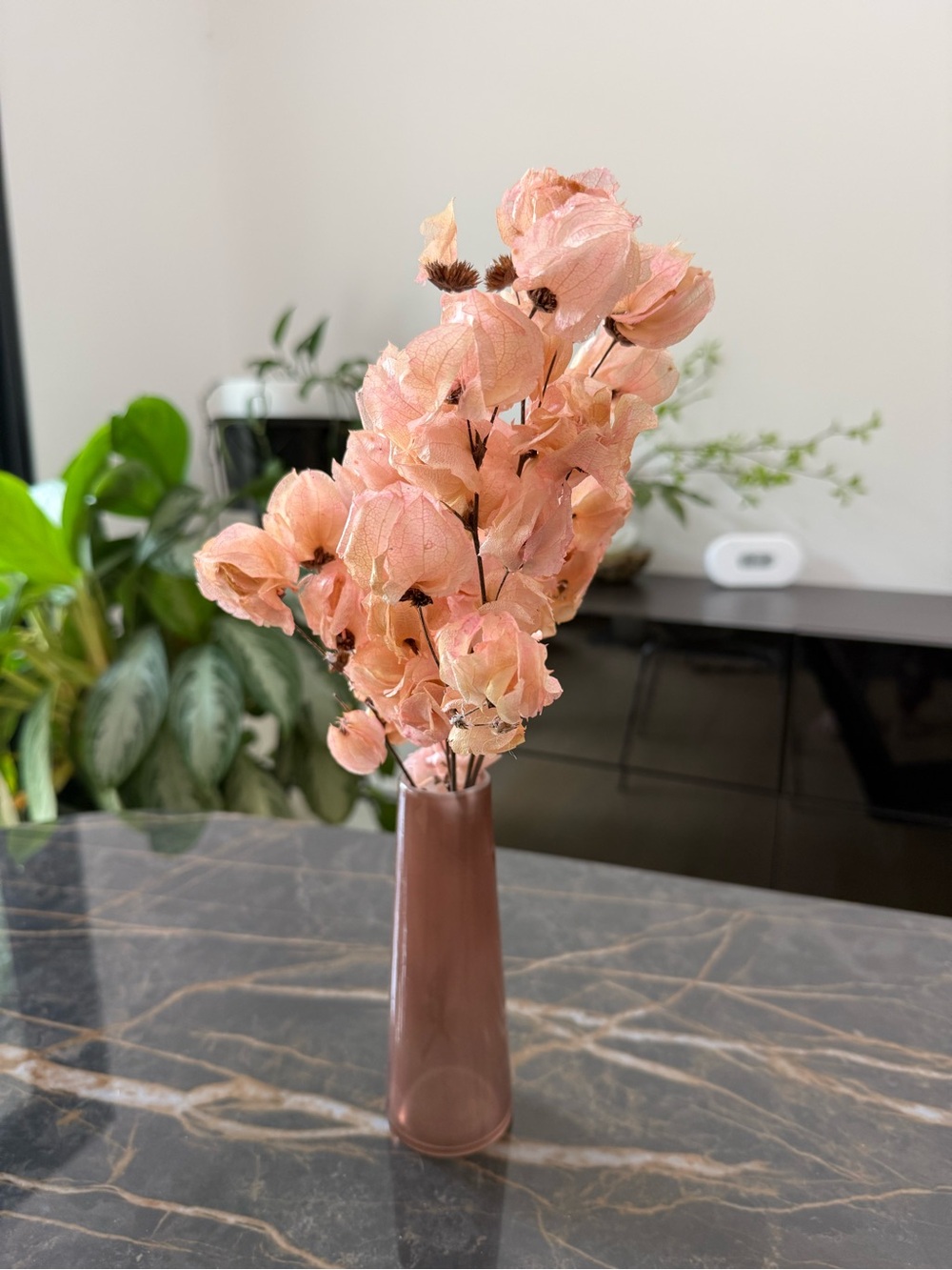 Preserved Dried Floral Bougainville in Pink-Tan Glass Vase - Home Accents